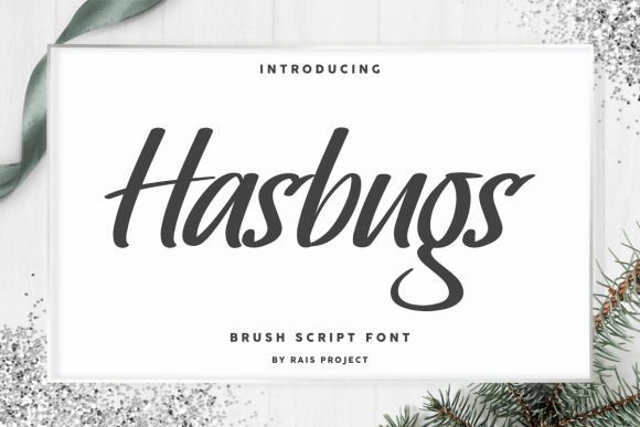 Hasbugs: The Friendly Display Font for Modern Website Headlines