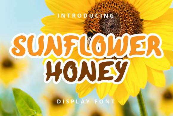 Sunflower Honey Font: A Playful Display Typeface for Digital Projects